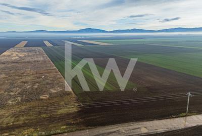 Teren exceptional pentru investitii industriale langa Brasov - 11