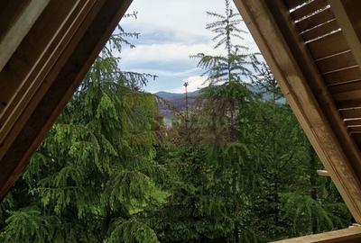 Vila A Frame de vanzare in Valea Doftanei - 3