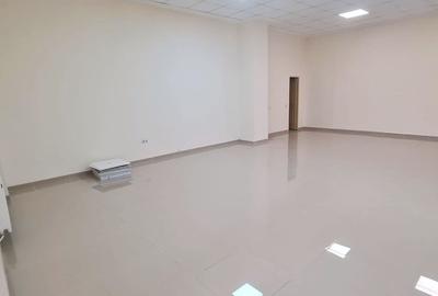 SPATIU COMERCIAL PARTER 2 CAMERE 130 MPU | NEPPENDORF TURNISOR - 2