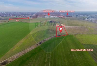 Teren Construcții intravilan de 10000 mp, în Sud