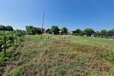 Casa 3 Camere + Teren si Anexe, Tirculesti- Danesti - 13