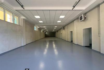 Spatiu Valea Lupului, Antibiotice, multifunctional, 334mp - 16