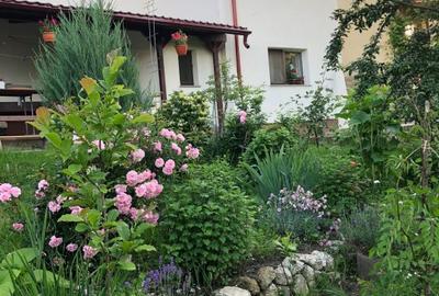 Casa noua zona Drumul Tatarilor - 1