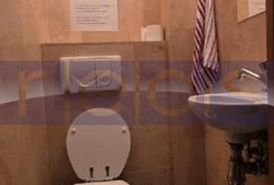 INCHIRIERE VILA S+P+1+M | ZONA DECEBAL - 15