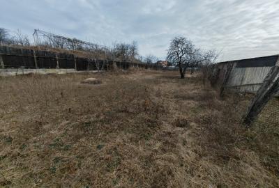 Teren constructii langa oras, Letea-Veche - 2
