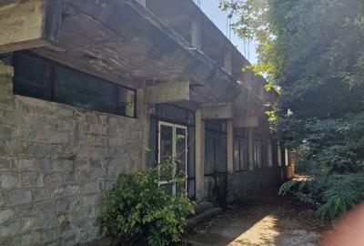 Cladire restaurant pe malul raului MURES ( Baza de agrement SOIMUS ) - 6