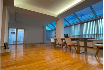 Bd Unirii apartament/birou  spatios  (110 mp+ terasa de 38mp) - 10