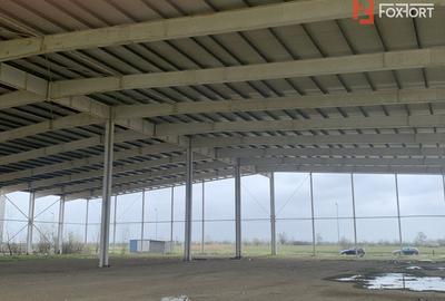 COMISION 0% Hala industriala 5500 mp utili zona de Nord Timisoara - ID V5143 - 9