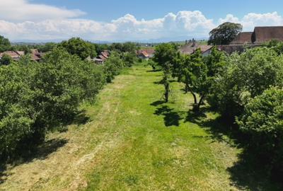 Teren Intravilan 1.251 mp în Rotbav (Brașov) – Toate utilitățile, acces asfaltat - 8
