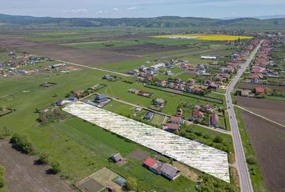 Teren intravilan Bod | Front 46 m la Asfalt | Utilități pe/lângă Teren - 6