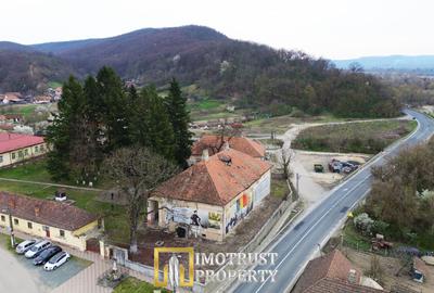 Castel istoric de vânzare în Conop | proprietatea lui Cicio Pop - 4