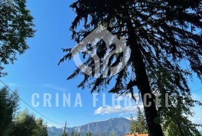 Teren cu padure 1000 mp, Predeal - Strada Pajistei - Valea Ursuletul - 3