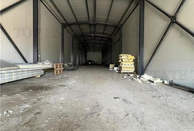 Spatiu comercial stradal, cu toate utilitatile stradal, la 100 m de A 1, pretabi - 18