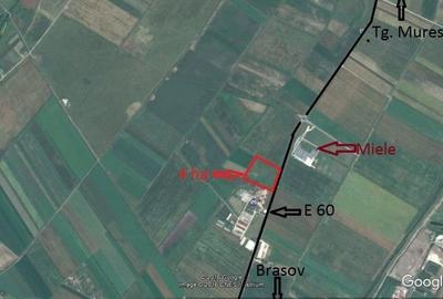 Teren Construcții extravilan de 40000 mp, în Hălchiu