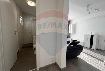 De închiriat apartament cu 2 camere în zona Nufarul - 13