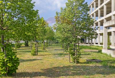 Teren cu construcție de beton, de vânzare, 3754 mp – zona Aradul Nou - 6