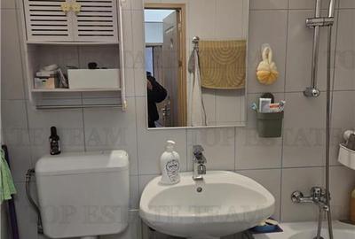 Apartament 2 camere Valea Ialomitei - 8