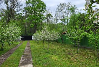 Casă cu 7 camere în Snagov