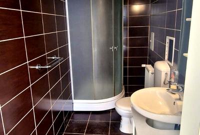 De vanzare casa individuala 960 mp teren in Sibiu - 17