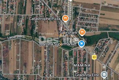 TEREN 2000 MP BERCENI MAMINA | DUBLĂ DESCHIDERE | IDEAL DEZVOLTATOR - 3