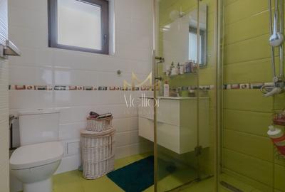 Duplex 386 mp teren 120 mp utili, 2 balcoane, 2 terase, Borhanciului - 28