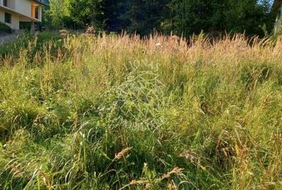 Teren Construcții intravilan de 1615 mp, în Colibița