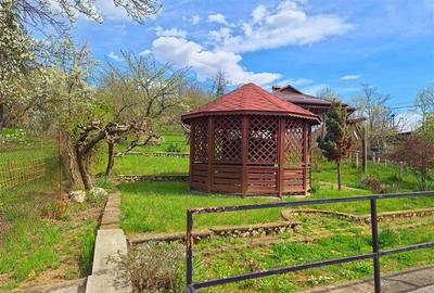 CASA LA VLADESTI - OAZA DE LINISTE APROAPE DE ORAS - 17