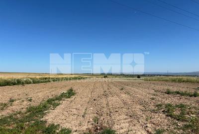 Teren intravilan | 1300 MP | 1000€  arul - 1