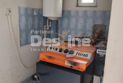 Imobil rezidential nou, Cretesti, Vaslui, teren 4800 mp - 10