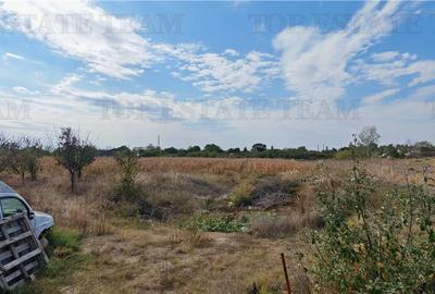 Ferma 3,3ha, din care 2,5ha intravilan, vila 7 camere, D+P+E+M, casa pentru munc - 11