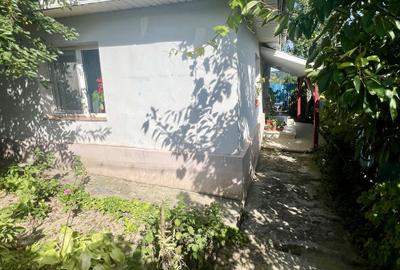 CASA MOARA GRECILOR,VASLUI - 1