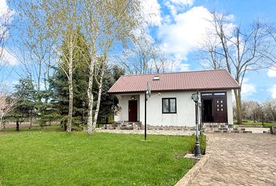 Casa pe lac Livedea - 15