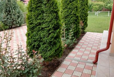 Vila Valea Adinca  cod 156481 - 15