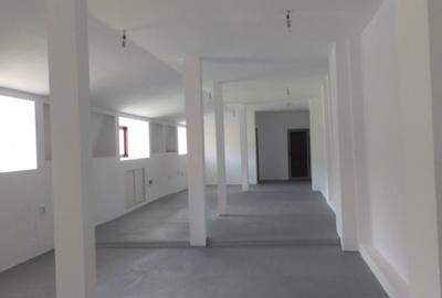 Casa parter plus Mansarda zona Ultracentrala, teren 550mp - 9