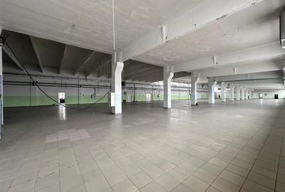 Hala/ spatiu comercial Pascani, 1500mp - 15