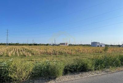 Teren Construcții intravilan de 9996 mp, în Central - 2