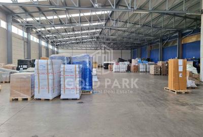 Hala/Depozit-Zona Autostrazii-Curte Betonata/Rampa-350-660-900 mp - 3