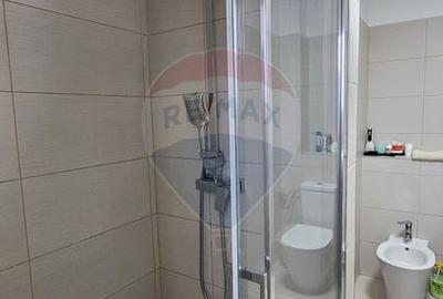 Apartament de lux, 105mp, Burdujeni, Suceava - 17