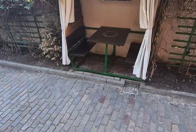 Imobil Cismigiu Park - Cobalcescu - 26