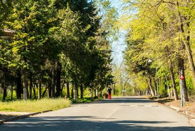 Vila visurilor tale există!Descoperă oaza de liniste în complexul Green City - 35