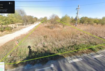 Vanzare teren intravilan Tancabesti / Snagov - 3