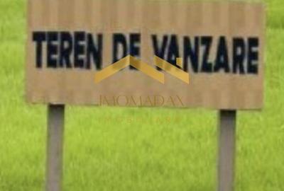 Sacalaz-Teren Intravilan-2 Fronturi Stradale - 1