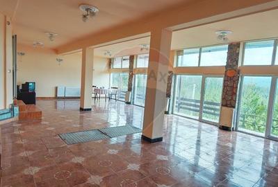 Cabană/Pensiune cu 12 camere de vânzare în Rânca - 9