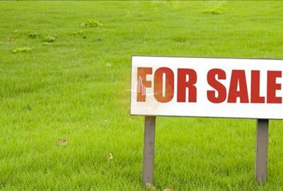 Jebel - Teren Intravilan , 26900mp - 1