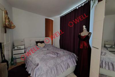 Casă unică de vânzare în Valea Crișului! - 7