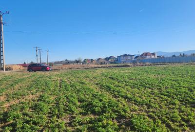 Vanzare loturi teren pentru case  cu utilitati Halchiu - 1