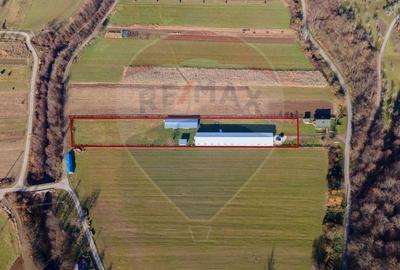 Spațiu industrial, de 650 mp, în Ribița