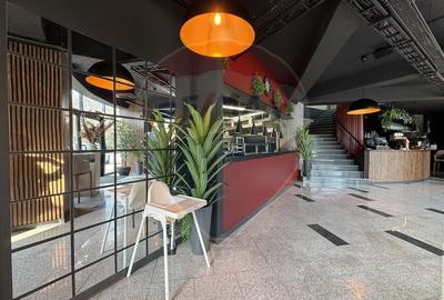 Restaurant & terasa la cheie I  stradal gata de operare I Baba Novac - 6