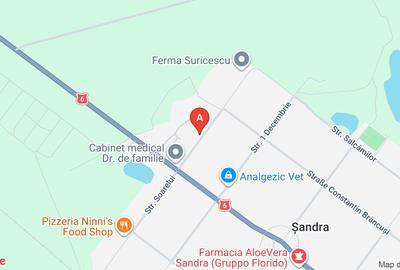 Garsonieră decomandată, mobilată în Șandra