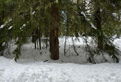 Teren intravilan cu panorama - statiunea Muntele Baisorii - 2